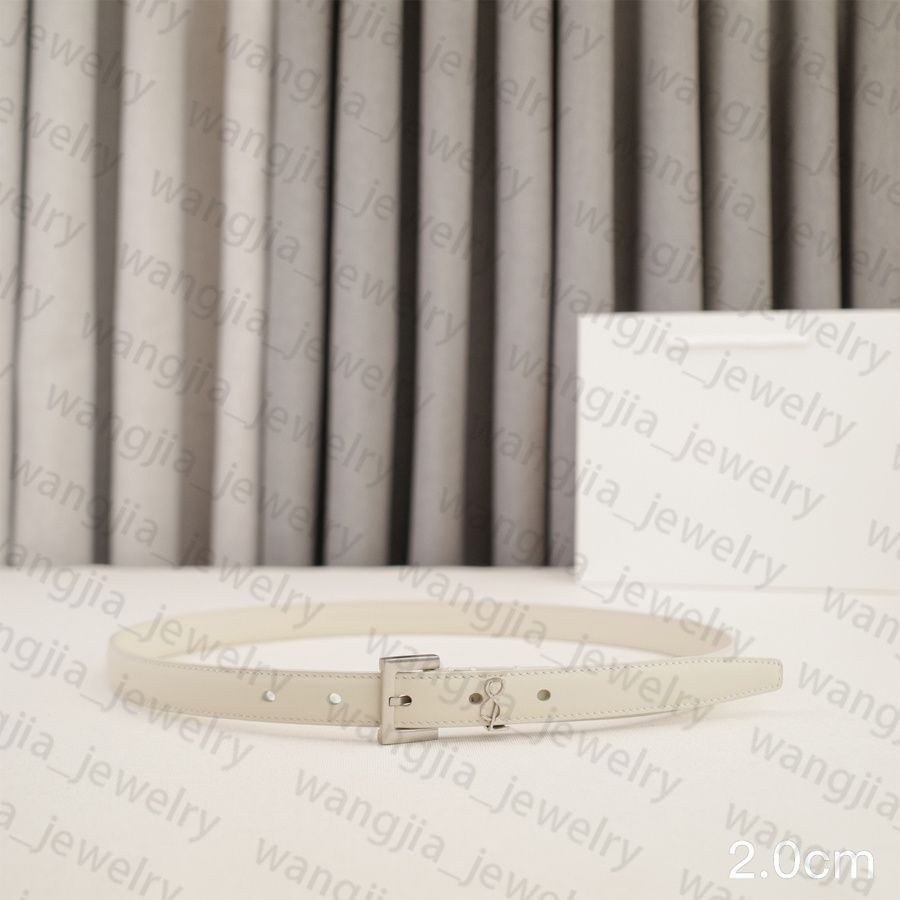 Womens Designer Belt Genuine Leather Belts for Women 2.0/3.0cm Width Leisure Needle Buckle Models Optional Lady Waistband Luxury Waist Girdle 90-115cm Length - 5 of 8