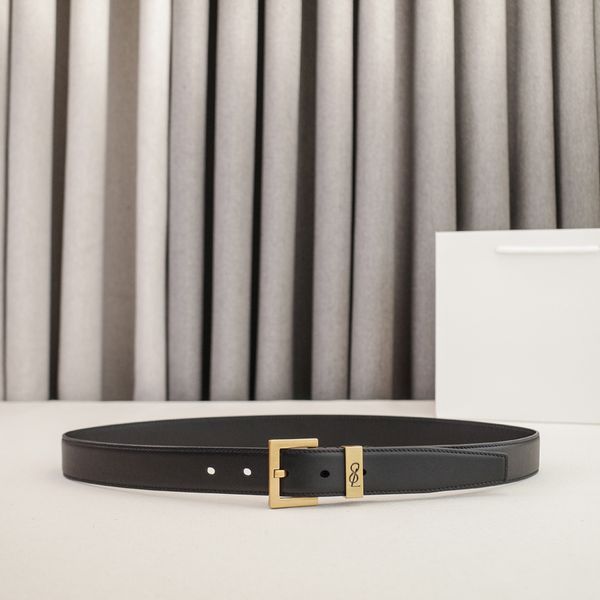 Womens Designer Belt Genuine Leather Belts for Women 2.0/3.0cm Width Leisure Needle Buckle Models Optional Lady Waistband Luxury Waist Girdle 90-115cm Length - Fashion Accessories - zorviavip
